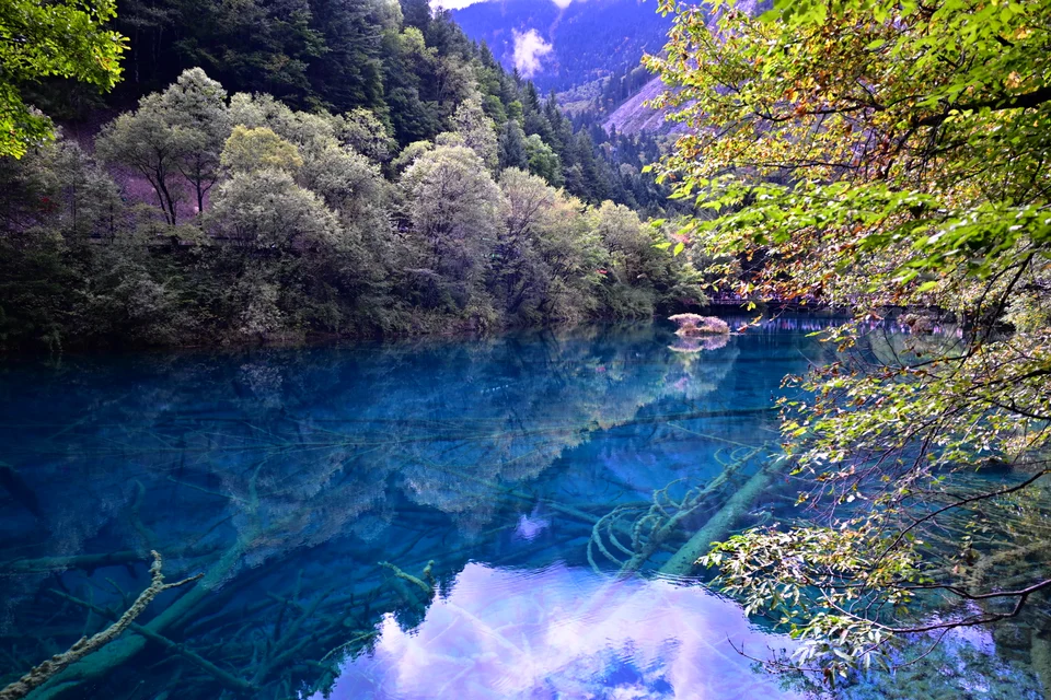 九寨沟蓝色的湖水、岸边树木与水中的倒影