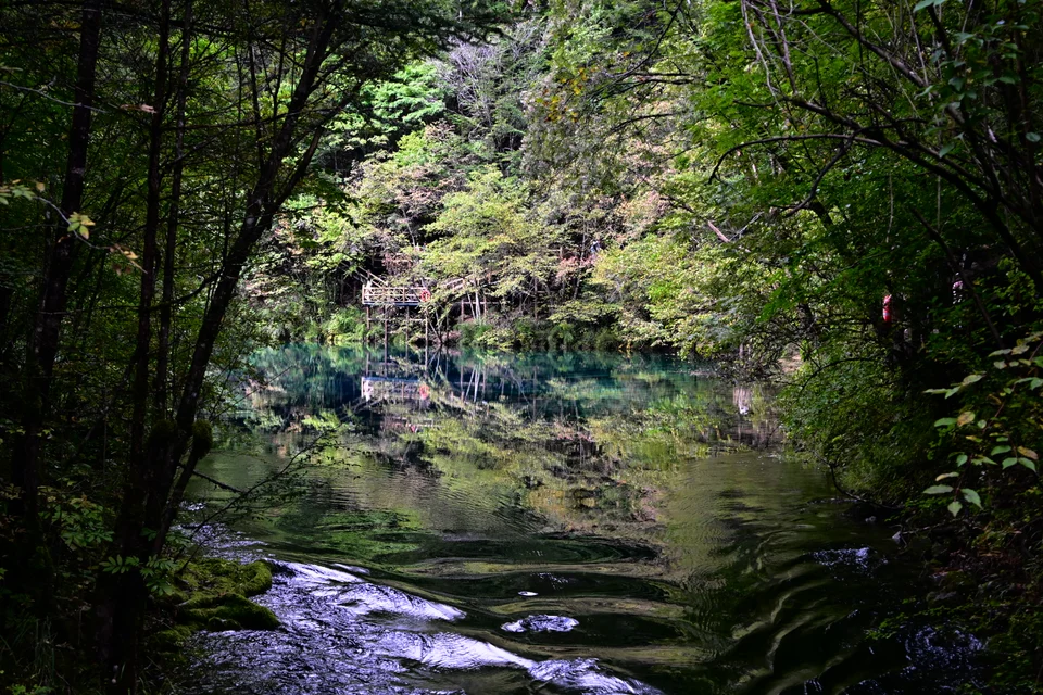 从近处的树林和溪流望向九寨沟的一片湖水